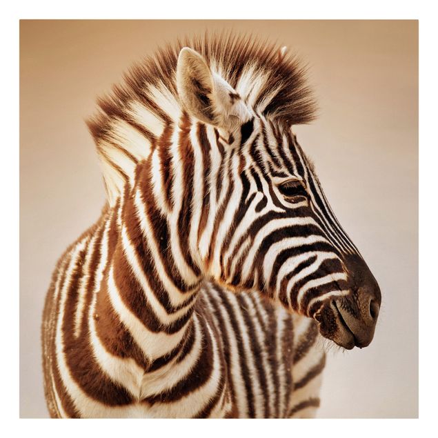 Leinwand Tiere Zebra Baby Portrait