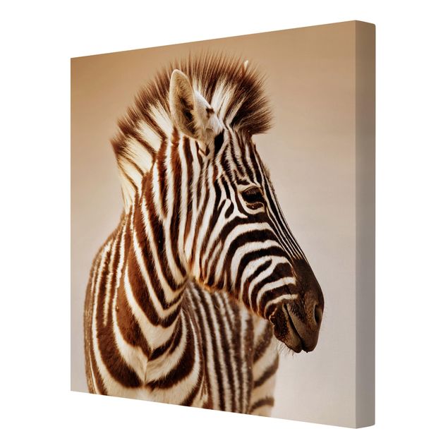 Wandbilder Afrika Zebra Baby Portrait