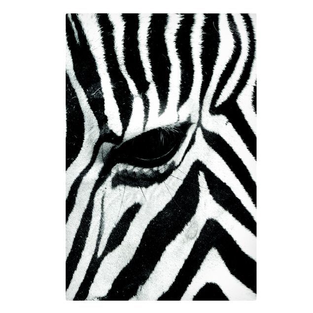 Leinwandbilder Tiere Zebra Crossing No.3