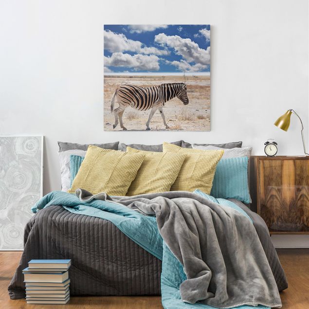 Wandbilder Zebras Zebra in der Savanne