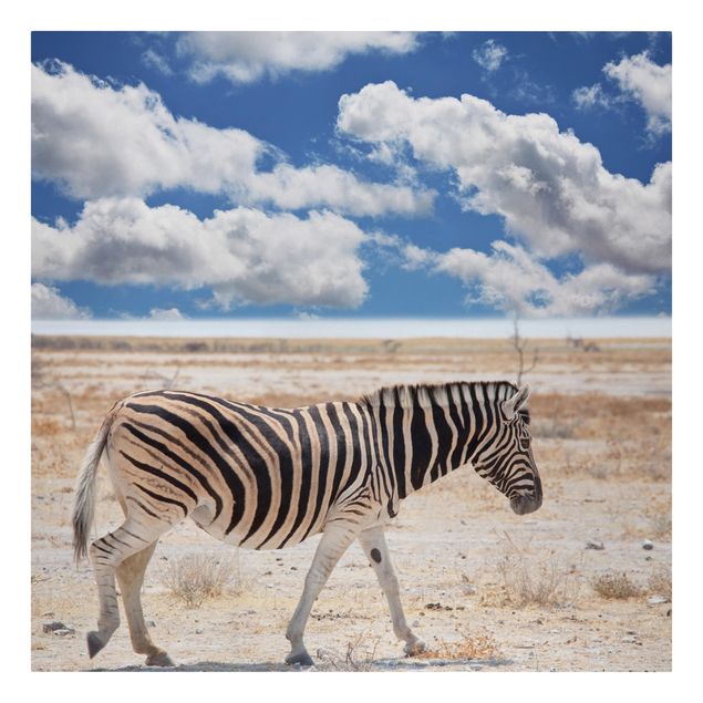 Leinwand Natur Zebra in der Savanne
