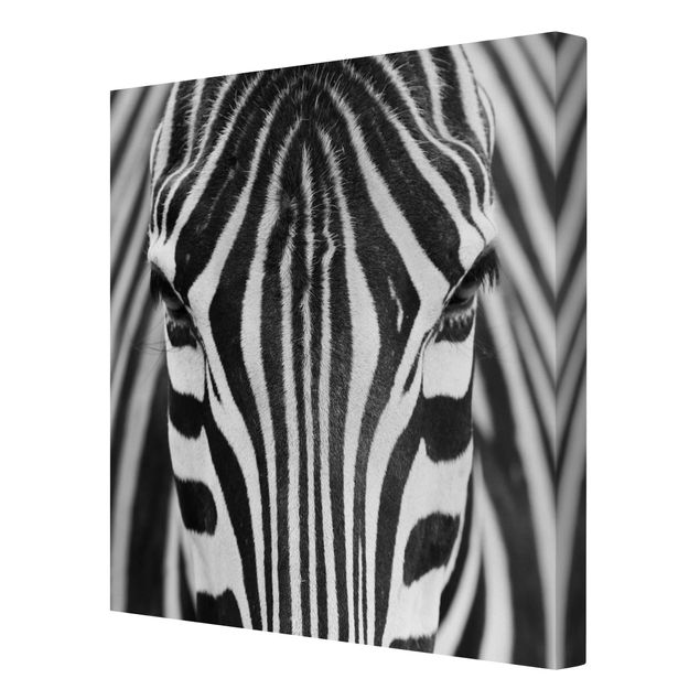 Tierbilder Leinwand Zebra Look