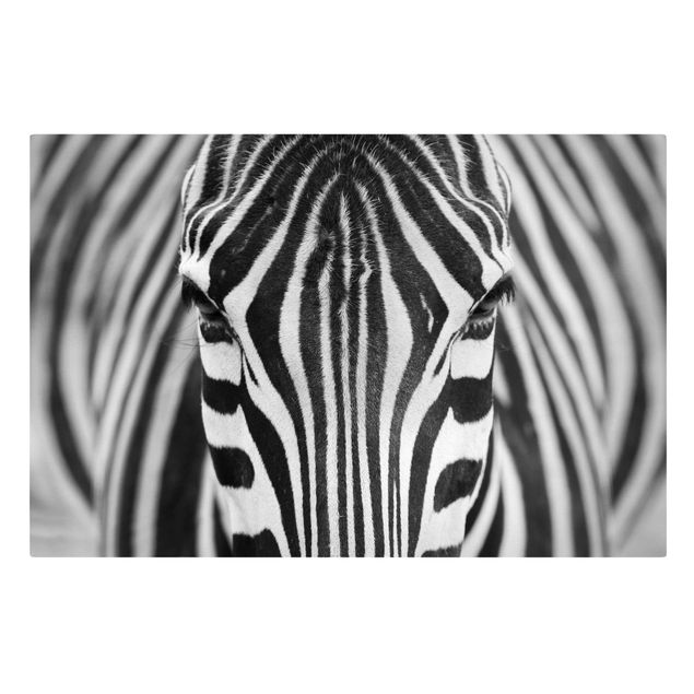 Leinwand schwarz-weiß Zebra Look