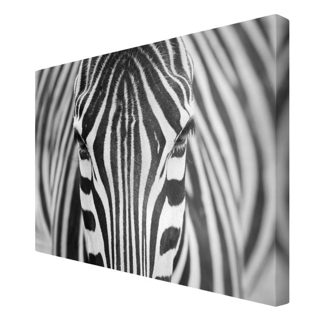 Leinwandbilder Tiere Zebra Look