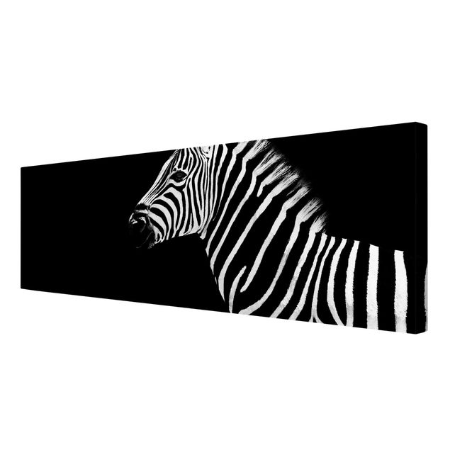 Wandbilder Afrika Zebra Safari Art