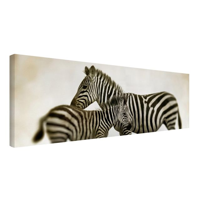 schwarz-weiß Bilder auf Leinwand Zebrapaar