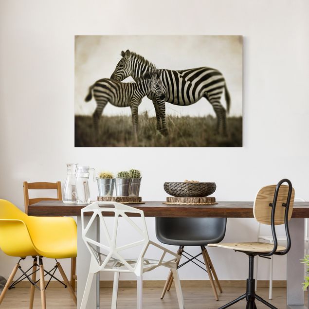 Zebra Bilder auf Leinwand Zebrapaar