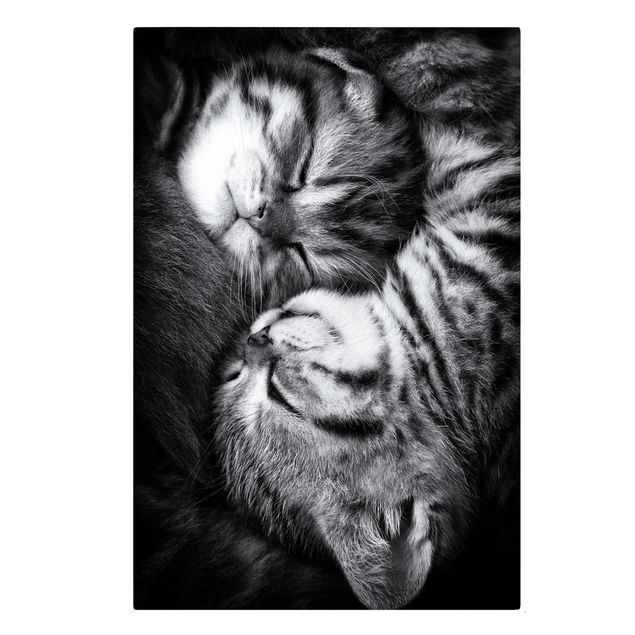 Leinwandbilder schwarz-weiß Zwei Kätzchen