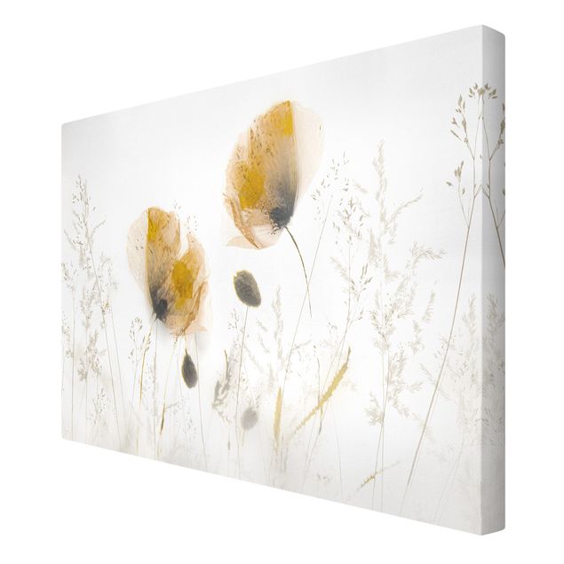 Wandbilder Floral Mohnblumen und zarte Gräser im weichen Nebel