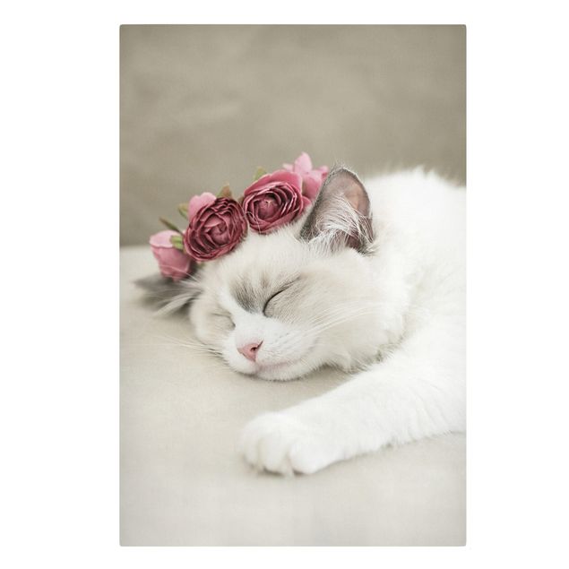 Blumenbilder auf Leinwand Schlafende Katze mit Rosen
