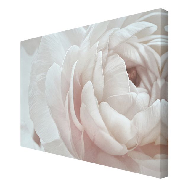 Wandbilder Rosa Weiße Blüte im Blütenmeer