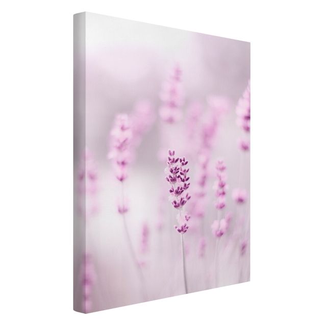 Wandbilder Floral Zartvioletter Lavendel