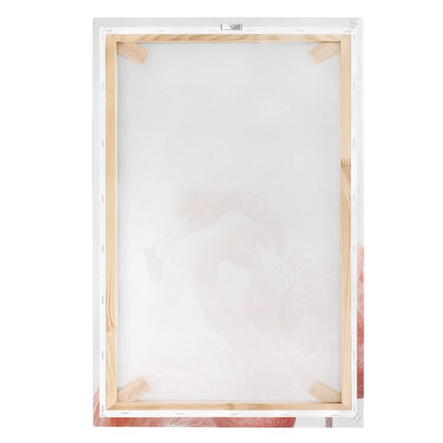 Wandbilder Zwei Flamingos