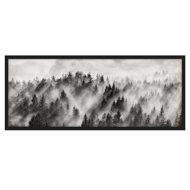 schwarz-weiß Bilder gerahmt Lichtstrahlen im Nadelwald