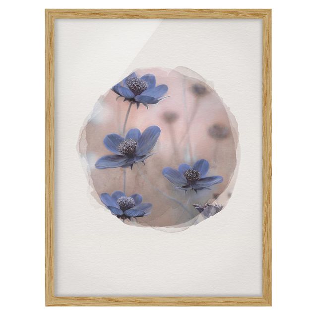 Wandbilder Blumen Wasserfarben - Blaue Kosmeen