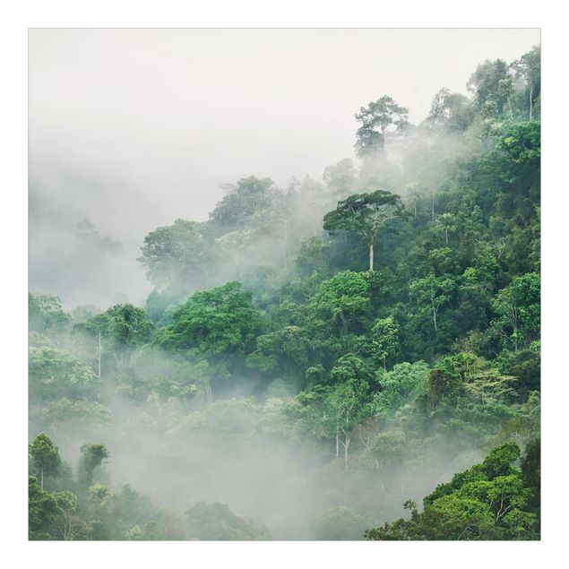 Fototapete Dschungel im Nebel
