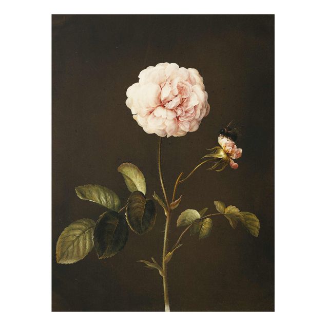 Glasbilder Blumen Barbara Regina Dietzsch - Essig-Rose mit Hummel