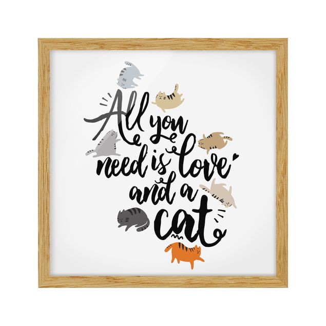 Tierbilder mit Rahmen All you need is love and a cat