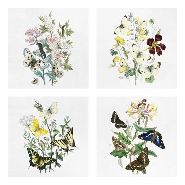 Leinwand Blumen Britische Schmetterlinge Set II