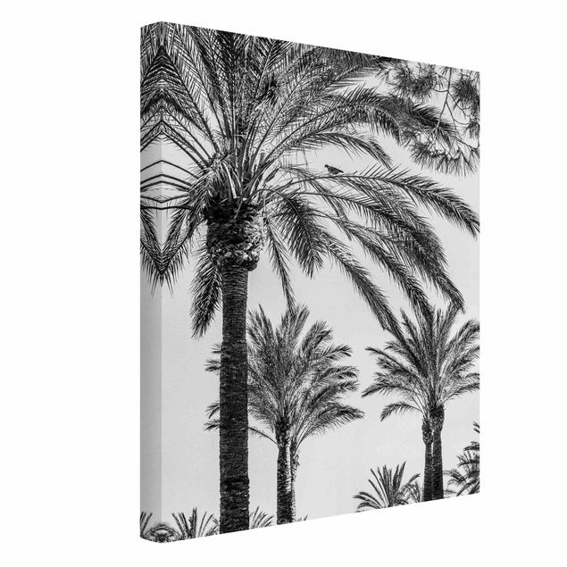 Leinwand schwarz-weiß Palmen im Sonnenuntergang Schwarz-Weiß
