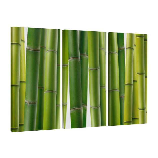 Wandbilder Bambus Bambuspflanzen