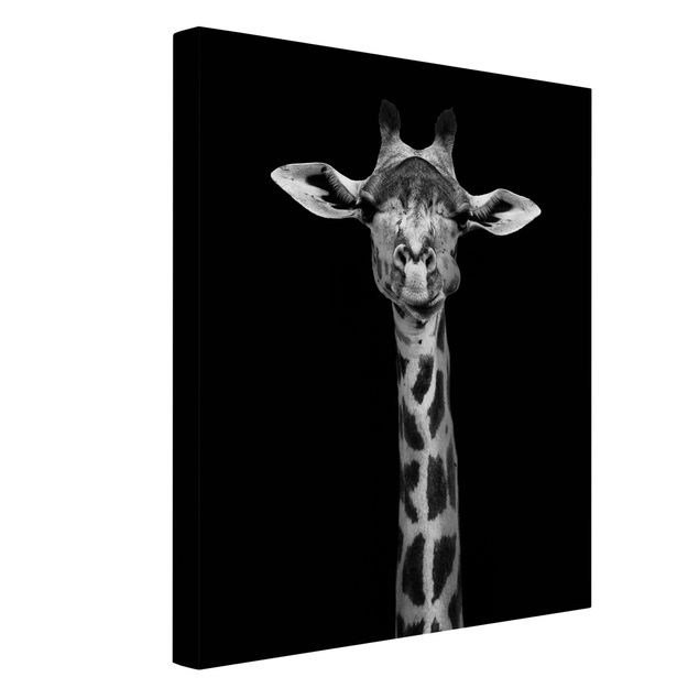 schwarz-weiß Bilder auf Leinwand Dunkles Giraffen Portrait