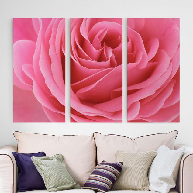 Küche Dekoration Lustful Pink Rose