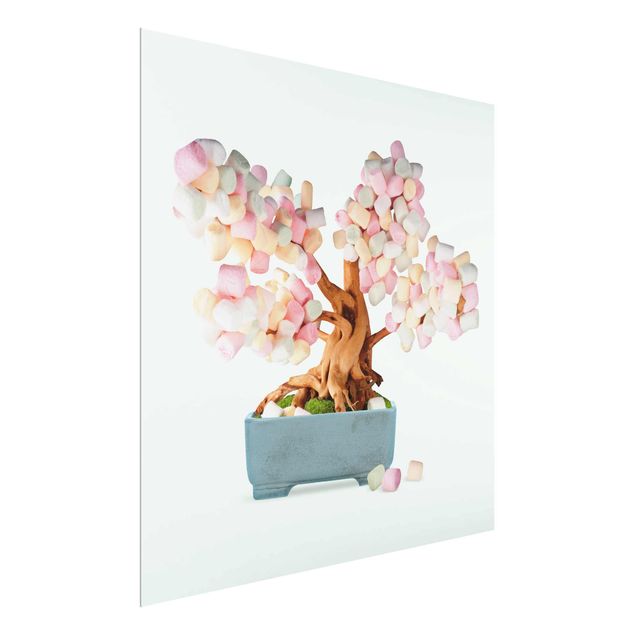 Wandbilder Blumen Bonsai mit Marshmallows