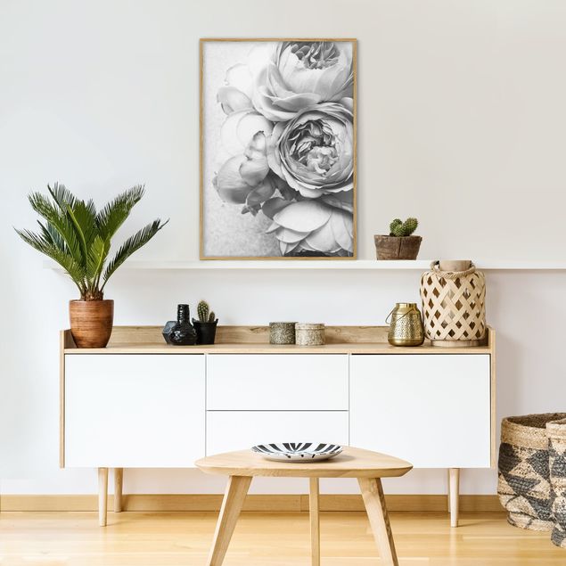 Blumenbilder mit Rahmen Pfingstrosenblüten Schwarz Weiß