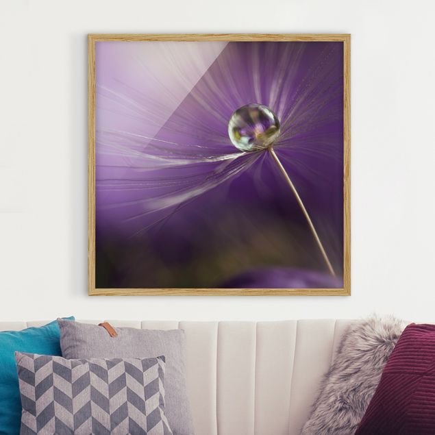 Blumenbilder mit Rahmen Pusteblume in Violett