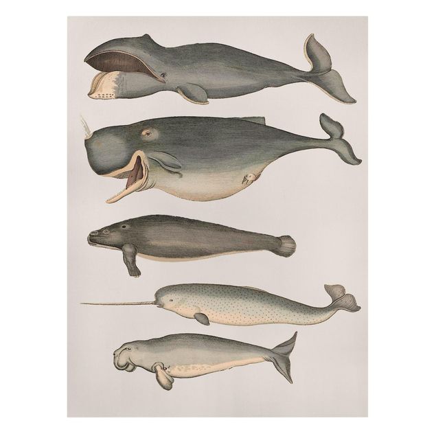 Leinwand Tiere Fünf Vintage Wale