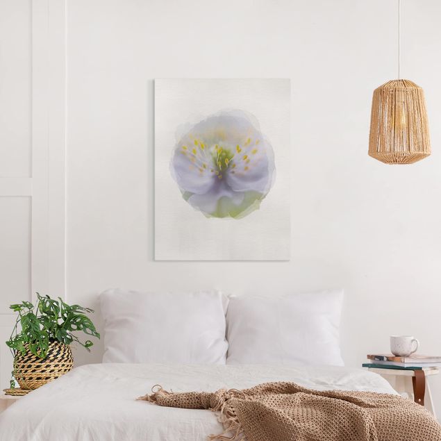 Wandbilder Floral Wasserfarben - Anemonen Schönheit