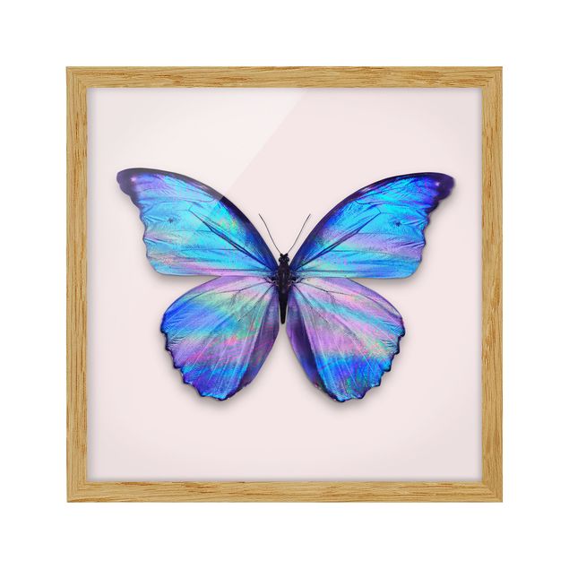 Tierbilder mit Rahmen Holografischer Schmetterling