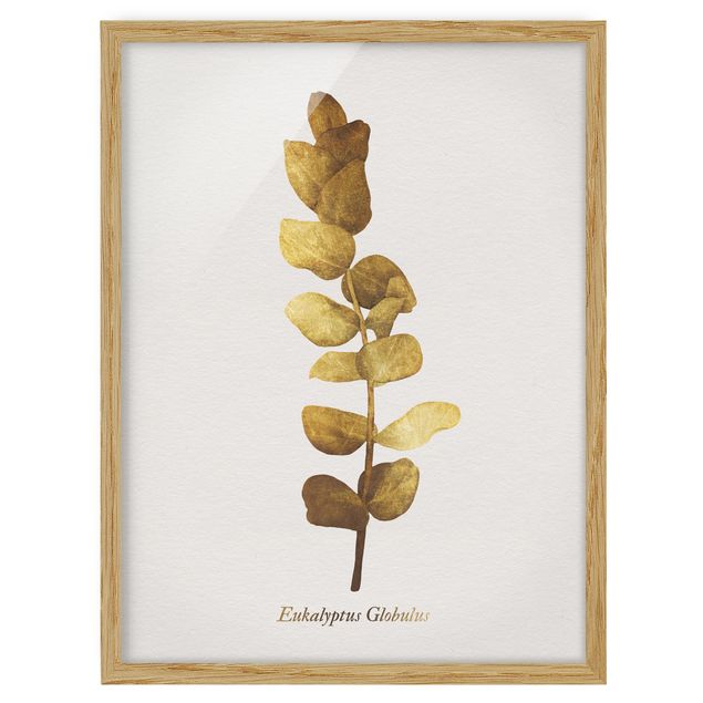 Wandbilder Blumen Gold - Eukalyptus