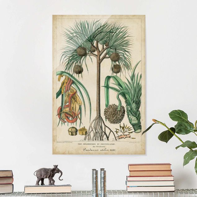 Küche Dekoration Vintage Lehrtafel Exotische palmen I