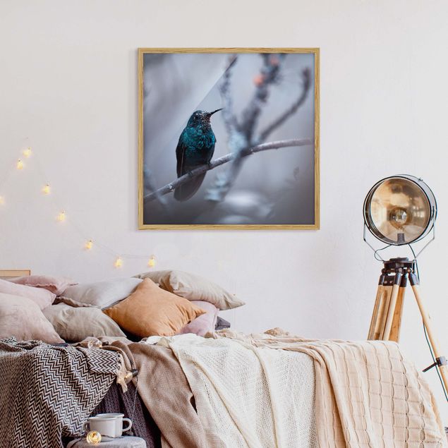Wandbilder Federn Kolibri im Winter
