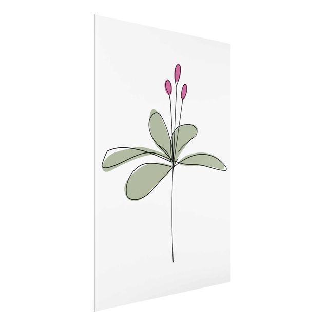 Glasbilder Blumen Seerose Line Art