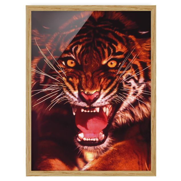 Wandbilder Modern Wilder Tiger