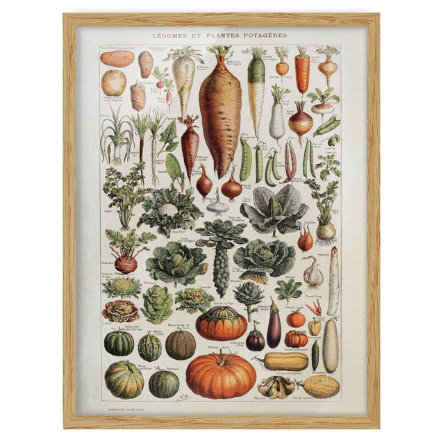 Wandbilder Floral Vintage Lehrtafel Gemüse