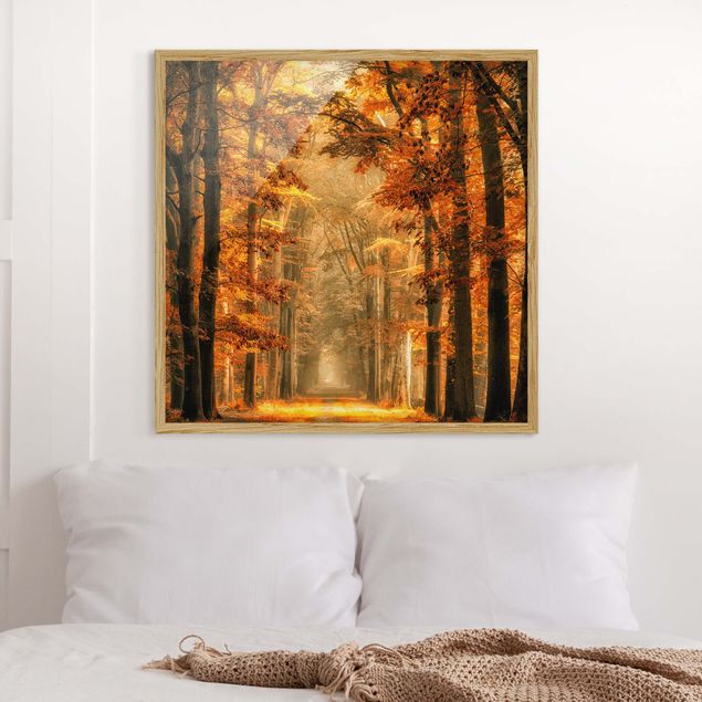 Wandbilder Bäume Märchenwald im Herbst