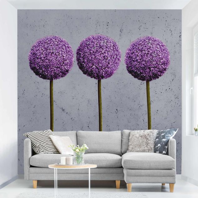 moderne Fototapete Allium Kugel-Blüten