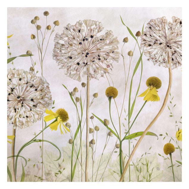 Fototapete Allium und Helenium Illustration
