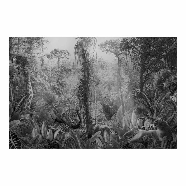 moderne Fototapete Antiker Dschungel Schwarz Weiß