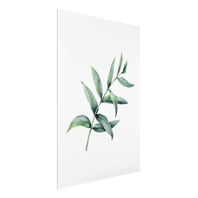 Wandbilder Blumen Aquarell Eucalyptus I