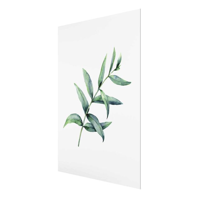 Wandbilder Aquarell Eucalyptus I