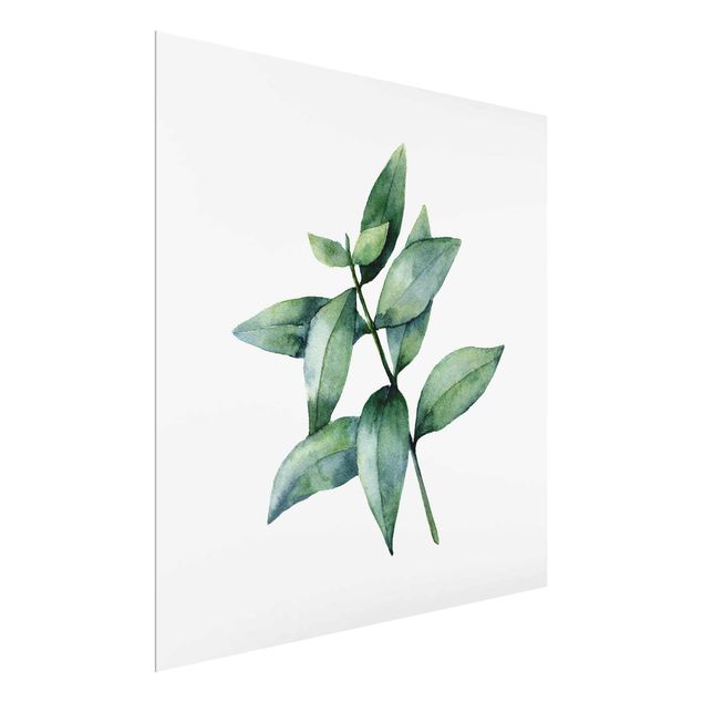 Wandbilder Blumen Aquarell Eucalyptus III
