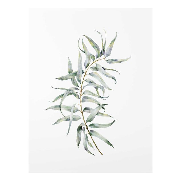 Wandbilder Grün Aquarell Eucalyptus IV