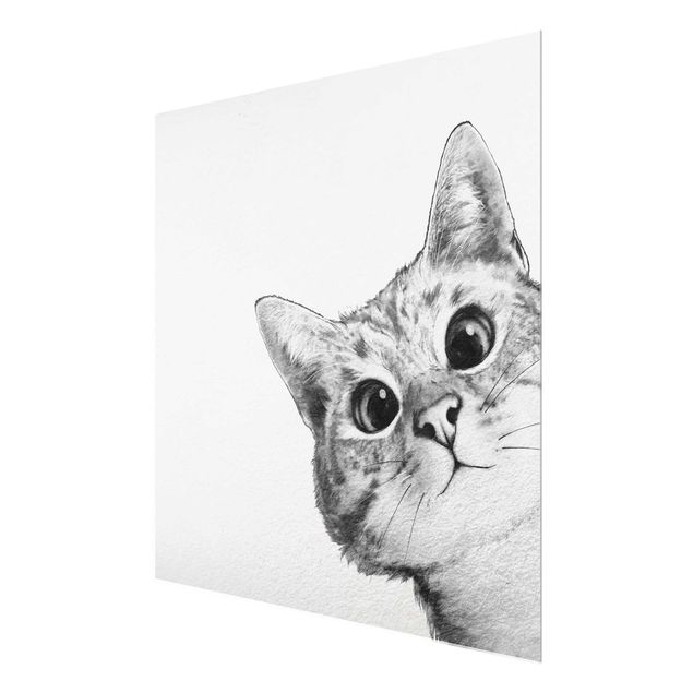 Glasbilder Tiere Illustration Katze Zeichnung Schwarz Weiß