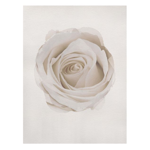 Wandbilder Blumen Wasserfarben - Pretty White Rose