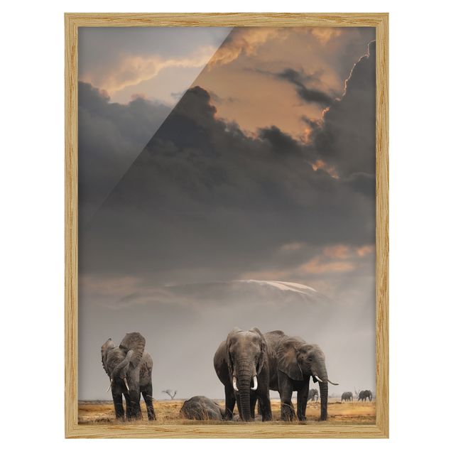 Landschaftsbilder gerahmt Elefanten der Savanne